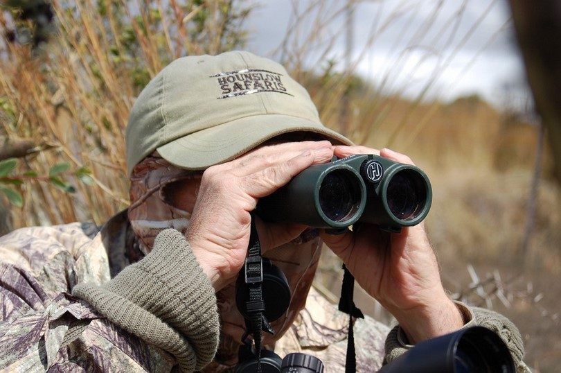 A buyer’s guide for ideal whale and ocean-watching binoculars
