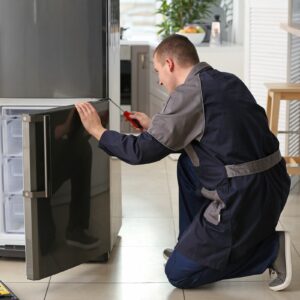What Are The Common Repair Issue Faced By The Refrigerators?